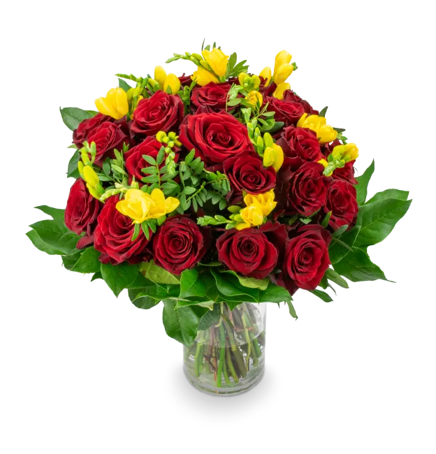 TAMARA_STREDNI_IMG_1736_eRGB.png
